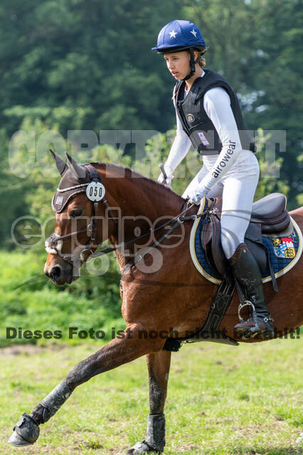 Goldene Schärpe 2021 - Ponys