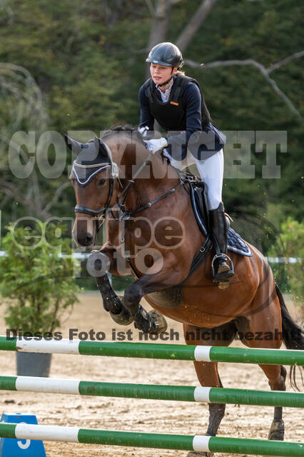 RFV Dinslaken-Hiesfeld (Herbstturnier)