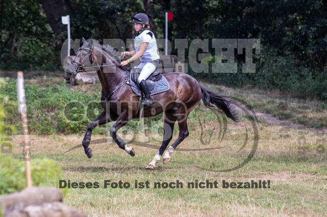 Late-Entry Vielseitigkeit Hamminkeln/Wesel (01.+02.08.2020)