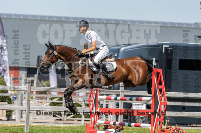 Kronenberg - De Peelbergen (August 2020)