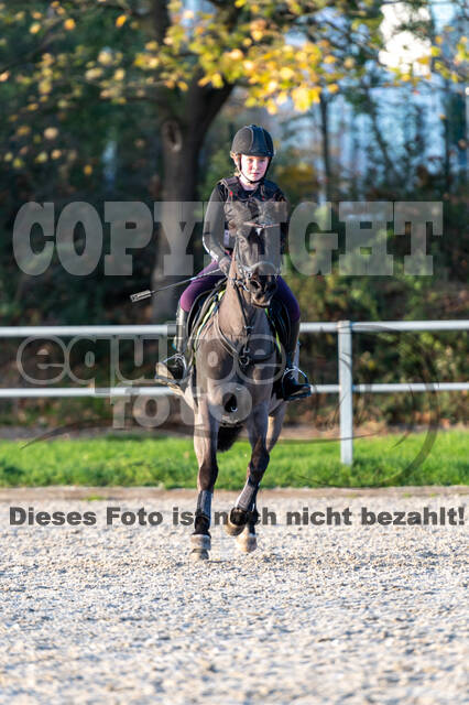 IGV Lehrgang der Sieger der Cups mit Frank Ostholt