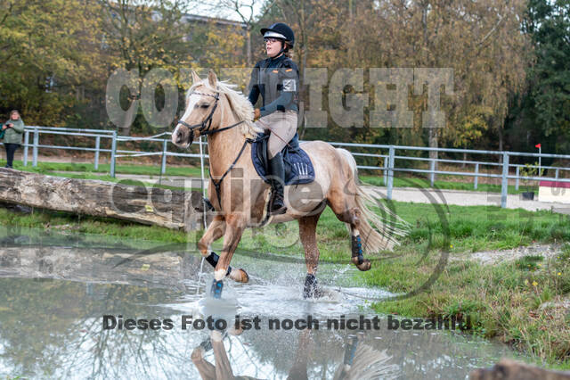 IGV Lehrgang der Sieger der Cups mit Frank Ostholt