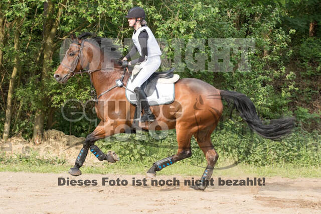 Vielseitigkeitsturnier ZRFV von Lützow Hamminkeln