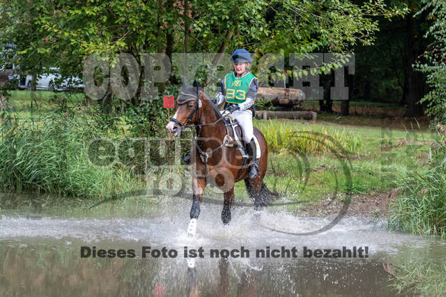 Vielseitigkeit RSV Wesel Obrighoven (26.+27.09.2020)