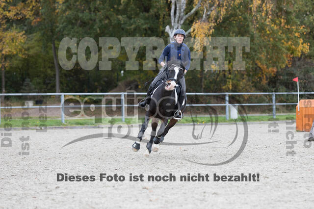 IGV Lehrgang der Sieger der Cups mit Frank Ostholt