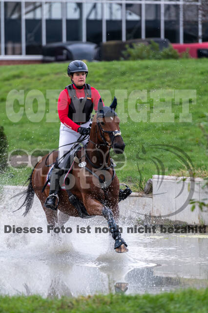 Goldene Schärpe 2020 - Pferde