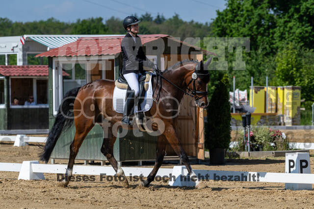 Westerstede Horse Trials 2021