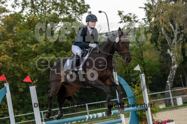 Reiter Schleswig-Holstein