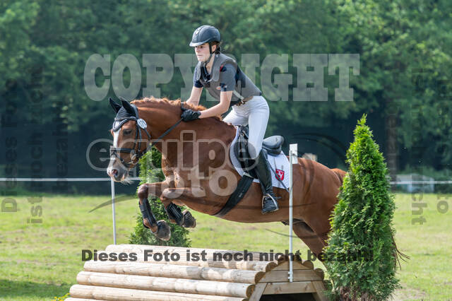 Goldene Schärpe 2021 - Ponys