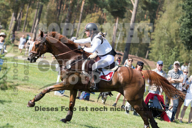 FEI European Championship Eventing 2019