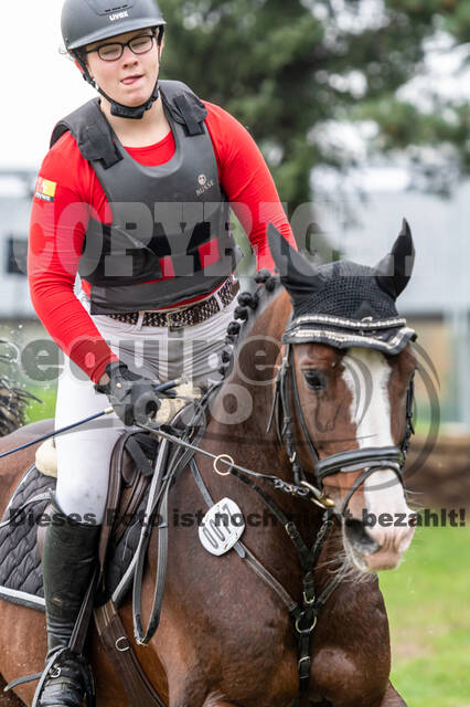 Goldene Schärpe 2020 - Pferde