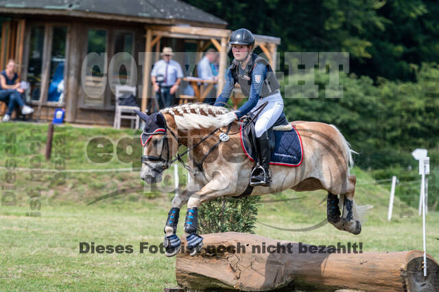 Goldene Schärpe 2021 - Ponys