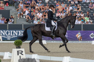 FEI European Championship Eventing 2019