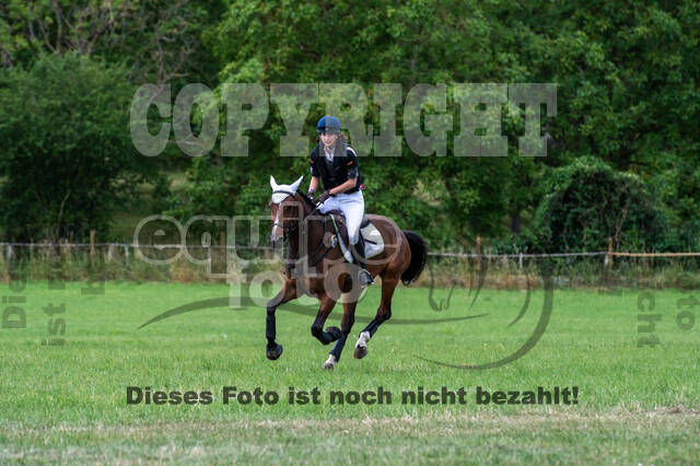 Bonn-Rodderberg Late-Entry-Vielseitigkeit (30.06.2020)