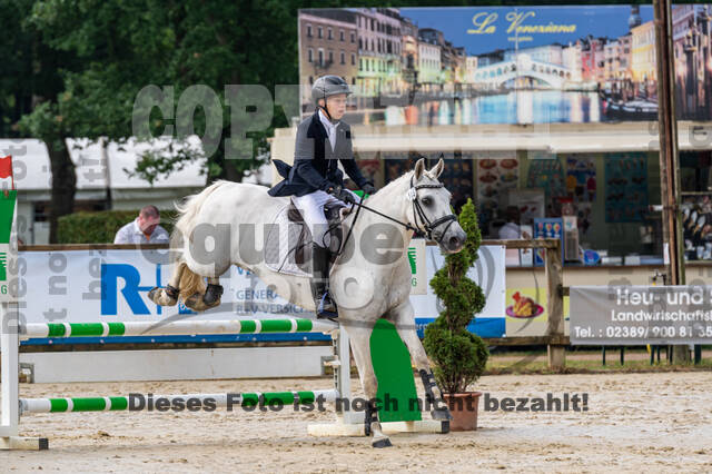 Goldene Schärpe 2021 - Ponys