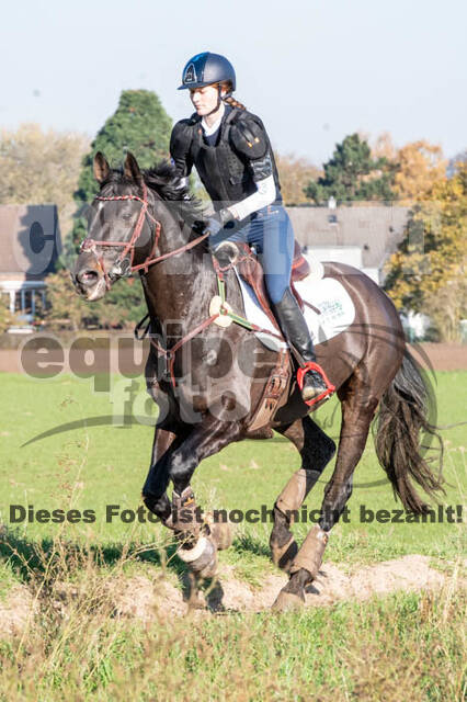 Vielseitigkeitslehrgang mit Jürg Kurbel (9.+10.11.2019)