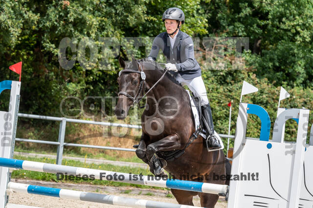 Late-Entry-Vielseitigkeit Langenfeld (06.+07.07.2020)