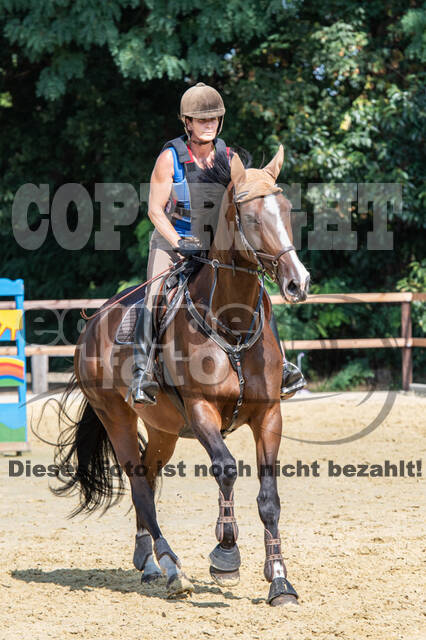 Hunter Geländetraining (16.08.2020)