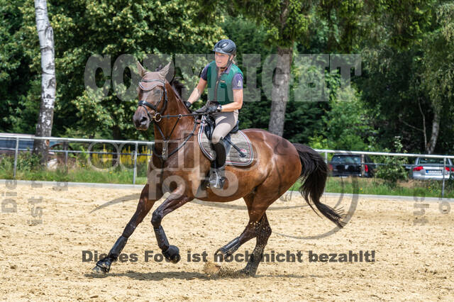 Hunter Geländetraining 10.07.2021 (Sonsbeck)