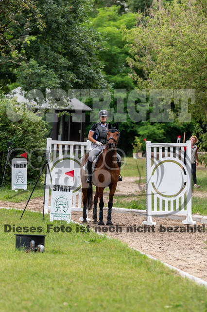 Late-Entry-Vielseitigkeit Langenfeld (11.+13./14.06.2020)