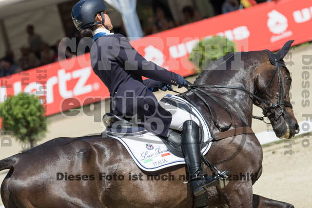 FEI European Championship