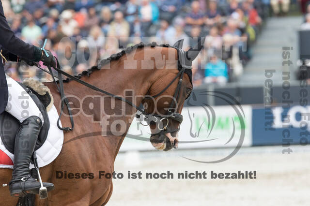 FEI European Championship Eventing 2019