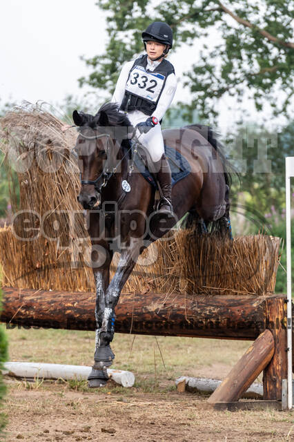 De Peelbergen (August 2020)