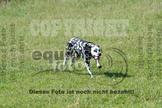 Tholi-Tour Lehrgang Vanessa Bölting