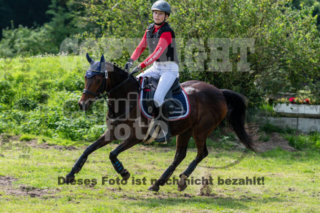 Goldene Schärpe 2021 - Ponys