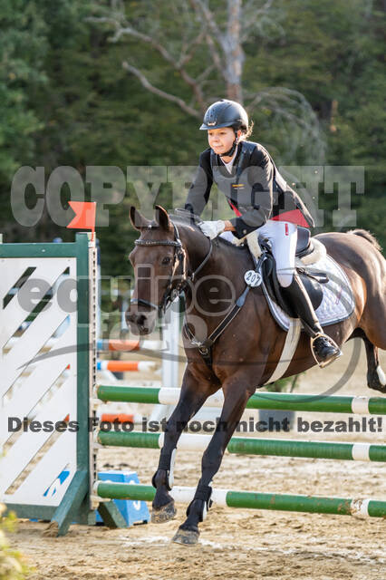 RFV Dinslaken-Hiesfeld (Herbstturnier)