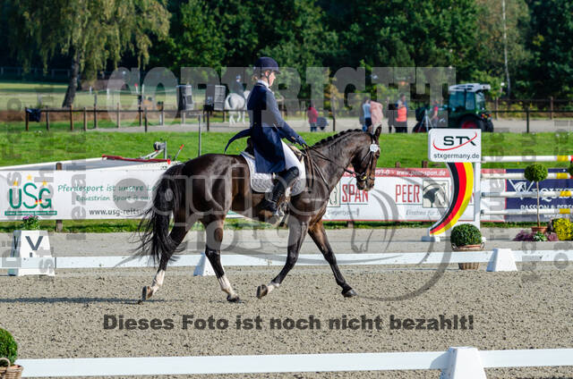 Deutsche Meisterschaft Vielseitigkeit (Luhmühlen)