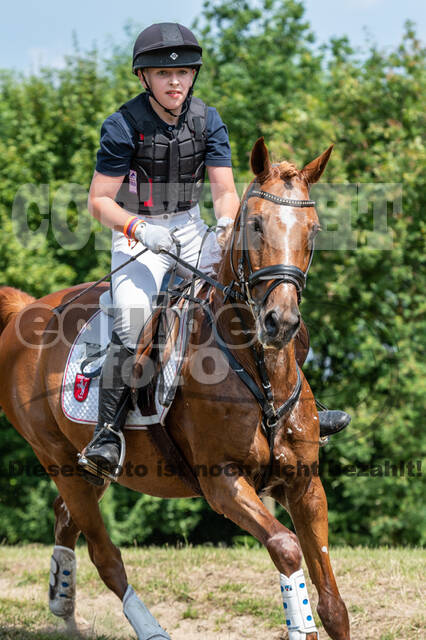 Goldene Schärpe 2021 - Ponys