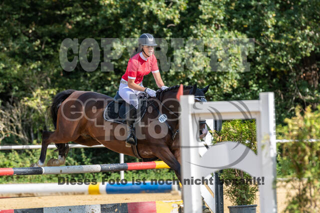 RFV Dinslaken-Hiesfeld (Herbstturnier)