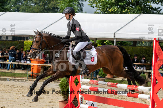 Goldene Schärpe 2021 - Ponys