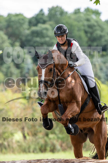 Bonn-Rodderberg Late-Entry-Vielseitigkeit (30.06.2020)