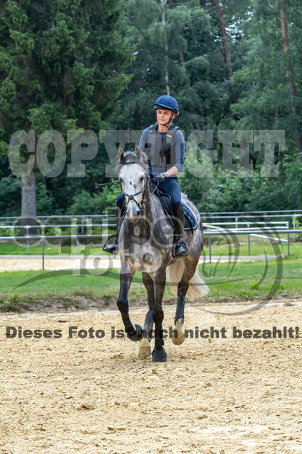 Hunter Geländetraining 10.07.2021 (Sonsbeck)