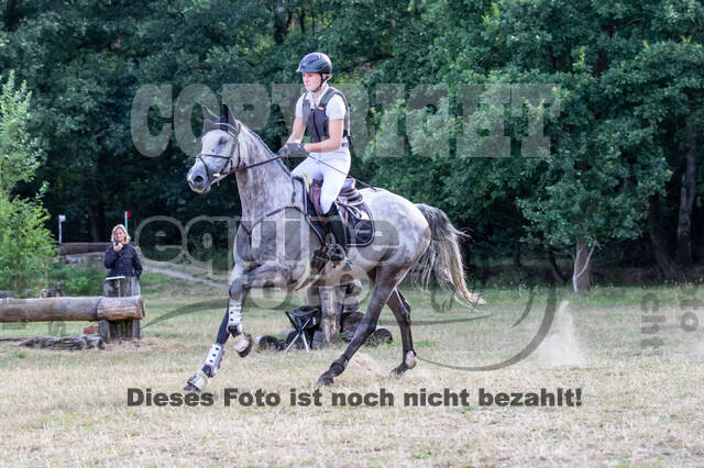 Late-Entry Vielseitigkeit Hamminkeln/Wesel (01.+02.08.2020)