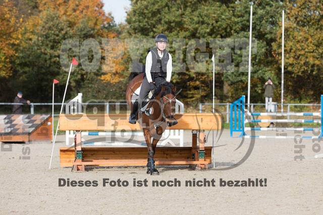 IGV Lehrgang der Sieger der Cups mit Frank Ostholt