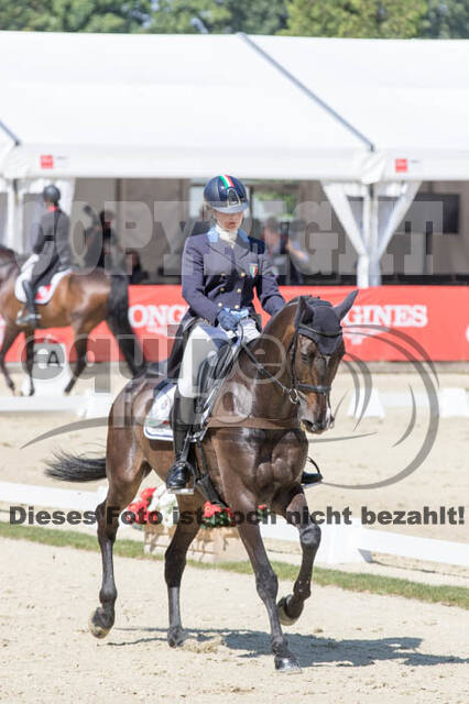 FEI European Championship