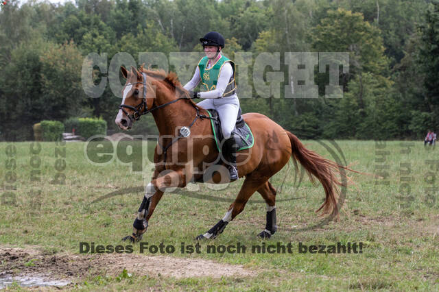 Late-Entry-Vielseitigkeit Gahlen (18.07.2020)