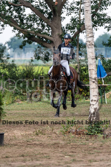 De Peelbergen (August 2020)