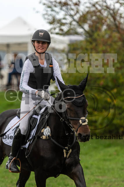 Goldene Schärpe 2020 - Pferde