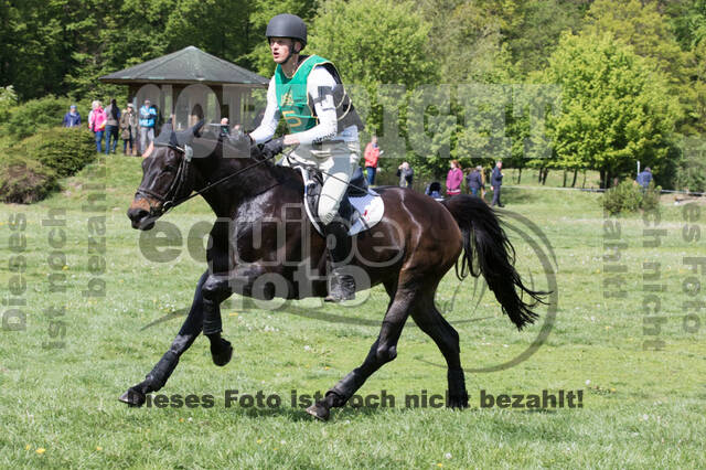 Sterne über Münster 2019 - CCI***S