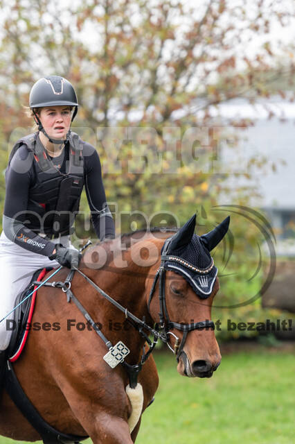 Goldene Schärpe 2020 - Pferde