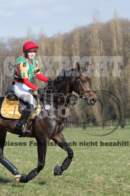 Vielseitigkeitsturnier RV Seydlitz Kamp (03.04.2022)