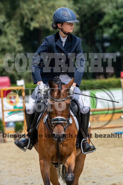 Goldene Schärpe 2021 - Ponys