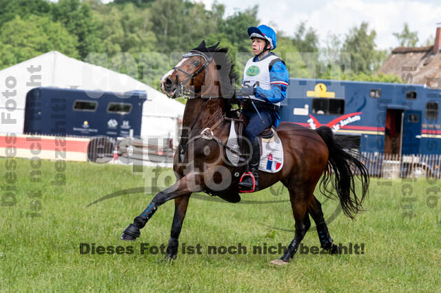 Westerstede Horse Trials 2021