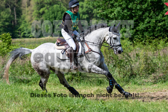 Westerstede Horse Trials (10.-13.06.2021)