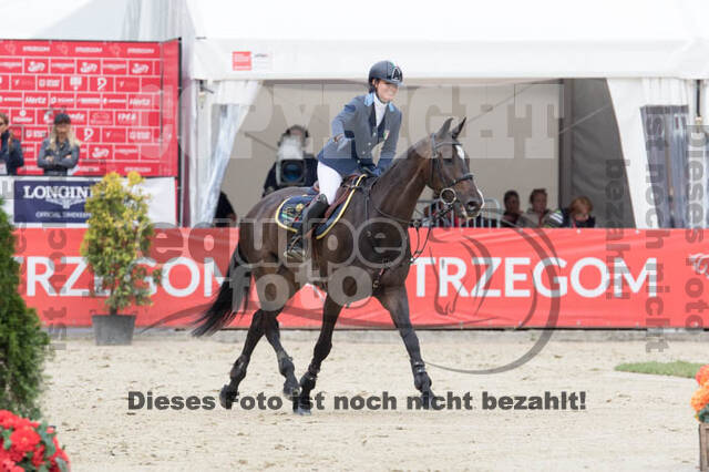 FEI European Championship