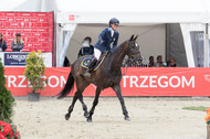 FEI European Championship